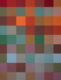 BIEDERLACK Couverture coton Cody - Multi - 150 x 200 cm