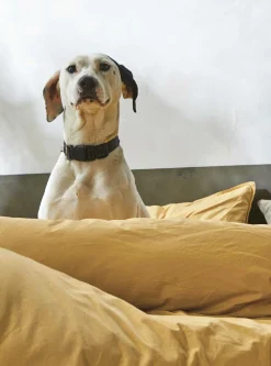 BLANC DES VOSGES Taie d'oreiller percale lavée Bohème - Miel - Taie d'oreiller 50 x 75 cm