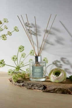 Bouquet À l'ombre des tilleuls