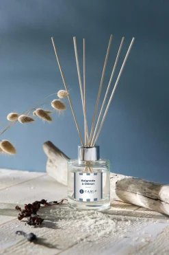 Bouquet Baignade à Oléron