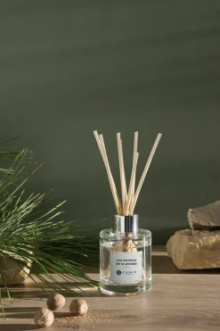 Bouquet Les sentiers de la pinède