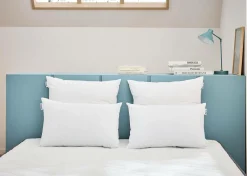 BULTEX Lot de 2 oreillers moelleux - 60 x 60 cm