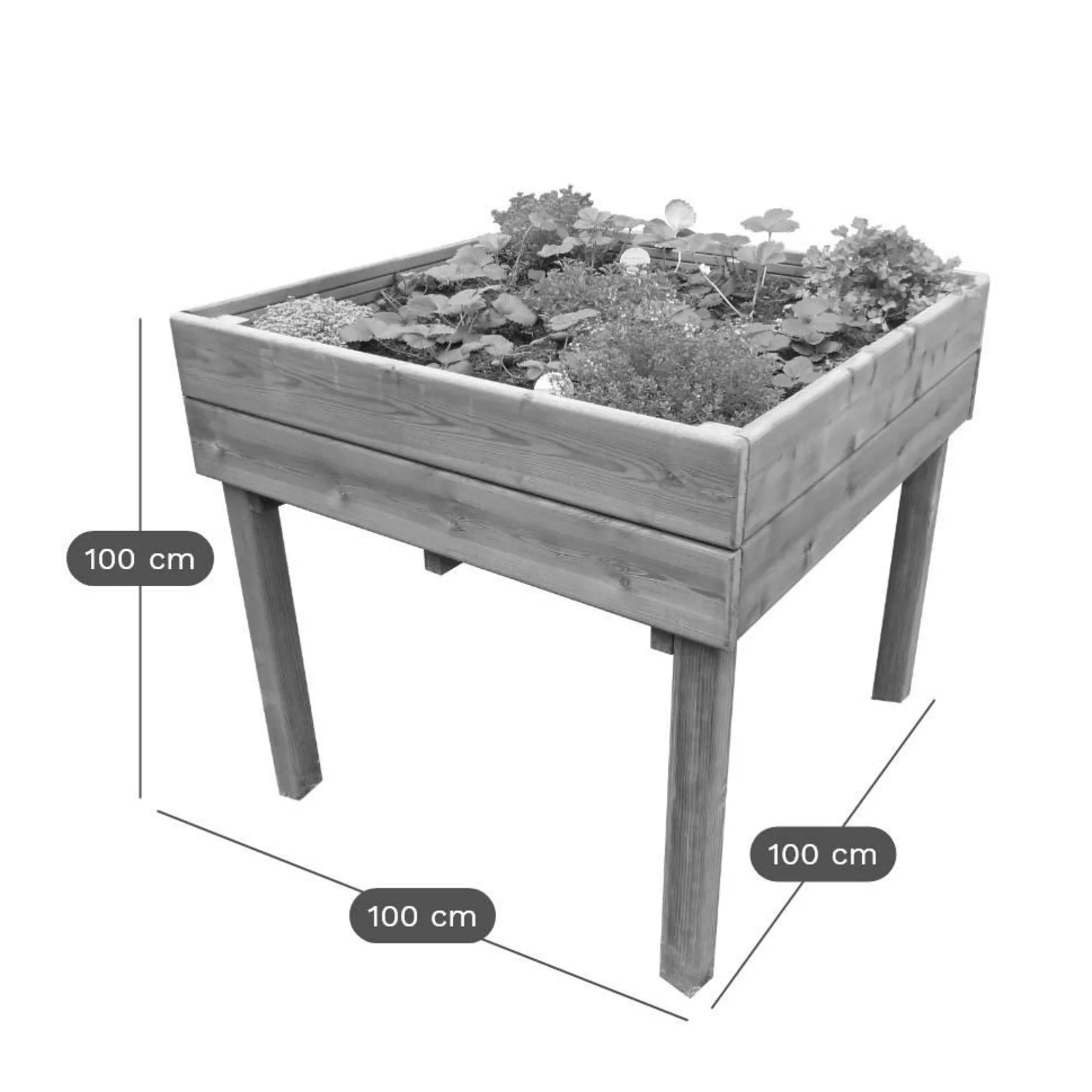 C.I.H.B. Table Potagère Carrée 160 L en Bois Autoclave