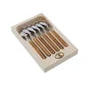 JEAN DUBOST Petite cuillère Laguiole 6 pièces