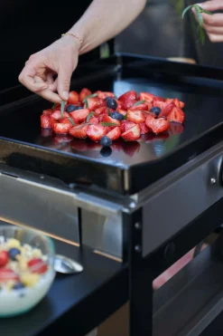 LE MARQUIER Ensemble Plancha et Chariot La Plancha Française Électrique Acier