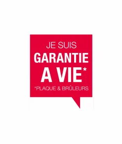 LE MARQUIER Plancha Signature Allure 260 Duo en Acier Noir et Inox