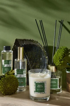 Vaporisateur Saveurs indiennes